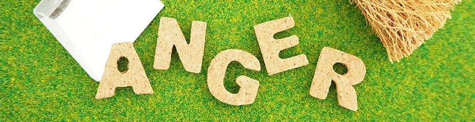 神戸市で子育て支援を行うNPO法人セーフティネット。ママカフェや親子食堂、子ども食堂、相談支援、食料・日用品配布、住宅支援、学習支援を実施。